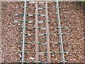 NT3271 : Railway line sleepers and ties by M J Richardson
