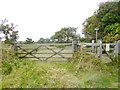 Stoborough Heath, gates