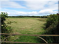 Harvested hay field north of the Ballyhornan Road