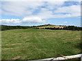 View NNE across a harvested hay-field on the Ballyhornan Road