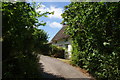 Thatched cottage by the lane to Poltesco