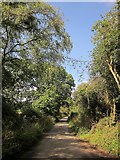 SX7688 : Lane near Little Wooston by Derek Harper