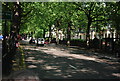 Tree lined Holland Park Avenue