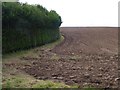 SP0649 : Ploughed field at the edge of Harvington by Christine Johnstone