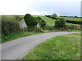 Ruined farmstead below Fox Hill