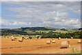 Bales near Otterburn