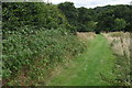 Footpath to Willesley Church