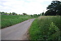 A narrow Suffolk lane