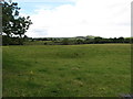 View across grazing land to wetland on the north side of the Ballyhornan Road