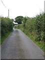 The Ballycruttle Road north of the hamlet of Ballycruttle