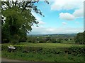 Grassland near Rocester