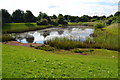 SK5142 : Balance pond for Nottingham Business Park by Richard Horry