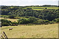 Lincombe : Countryside Scenery