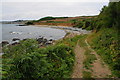 Track to Trenow Cove