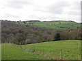 View towards Knowle Hill