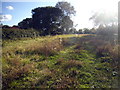 Field by Ashtead Woods Road