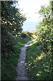 SS5047 : North Devon : South West Coast Path by Lewis Clarke