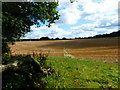 Looking along footpath from Closedown Wood