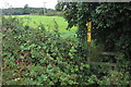 Footpath to Farm Town