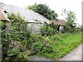 Ruined homestead on the Ballysallagh Road