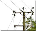 J4581 : Pole and power lines, Crawfordsburn (September 2014) by Albert Bridge