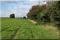 Path by the disused railway