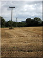 Power poles in stubble field