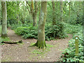 The London Loop threads through Spring Park Wood