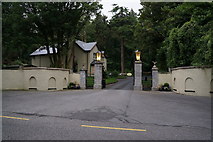 Q8712 : The entrance to Ballyseede Castle Hotel by Ian S