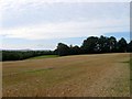 Barn Field/Pond Field