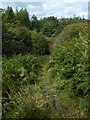 Path to Pennyfern Road