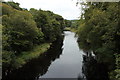 River Ayr near Mauchline