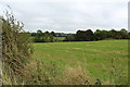 Farmland at Polnood Wood