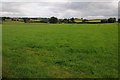 Field near Cefn Llech