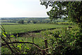 SK2841 : Farmland near Kedleston by Stephen Richards