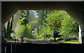 The Ivanhoe Trail passing under the M1 motorway