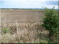 View to The Swale from Elliotts Farm