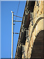 Durham: viaduct detail with gull