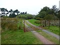 Cattle grid on track to Horsley High Barns