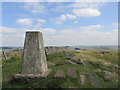 NY7467 : Trig point on Winshields crag. by steven ruffles