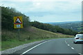 The A30