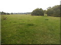 Bentley Priory looking towards Lower Priory Farm