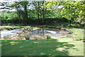 Pond, Holbrook Farm