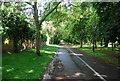 Cycle track, Holland Park