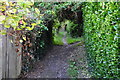 Chambercombe : Path