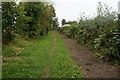 Bridleway at Millstone Garden Centre