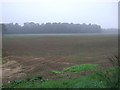 Farmland and woodland, Sand Hills