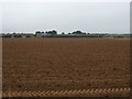 Farmland towards RAF Scampton