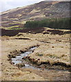 Roadside burn near Corrymuckloch