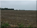 Farmland near Scothern